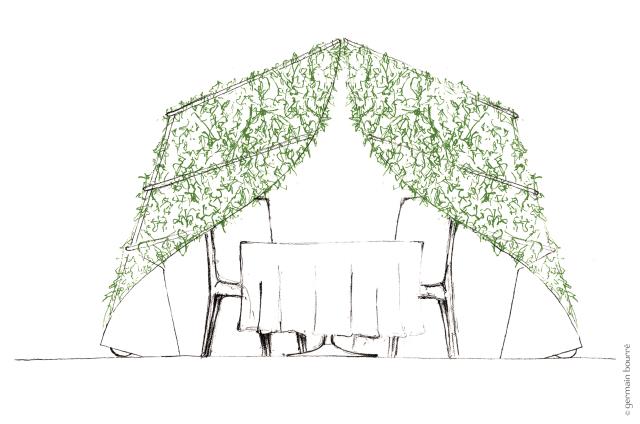 Croquis de dais végétaux dessinés par Germain Bourré pour l'ancien restaurant de Laurent Azoulay « Le Saule pleureur », à Monteux (Vaucluse).