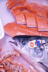 Le saumon d'élevage écossais IGP est reconnu internationalement pour sa qualité supérieure.
