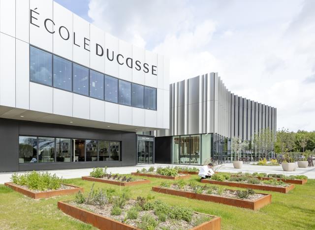 École Ducasse lance ses premiers modules sur l’IA fin 2024.