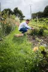 Le chef étoilé, étoile verte et propriétaire du Manoir de la Régate Mathieu Pérou, dans son potager...