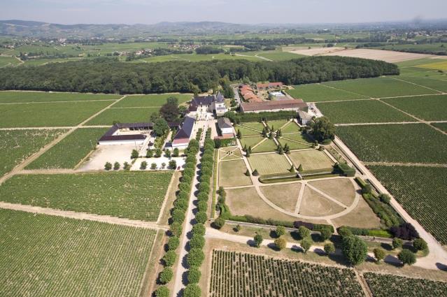 L'ensemble de la production (plus de 400 000 bouteilles) est vinifié et mis en bouteille au Château.