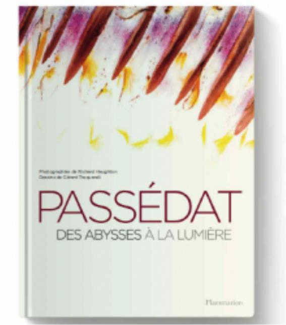 Passédat - Des abysses à la lumière, aux éditions Flammarion