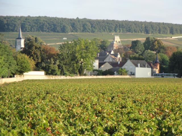 La montagne de Corton