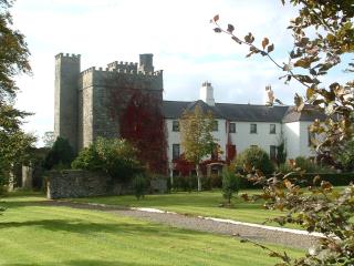 Barberstown Castle (Irlande) remporte le prix dans la catégorie 'château'.