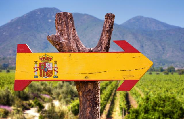 Le plus connu des vins espagnols est le jérez, également appelé xérès ou sherry.