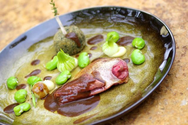 Recette de David Charrier, restaurant Les Belles Perdrix de Troplong Mondot à Saint-Emilion : Pigeon au sang de Monsieur Duleau, Suprême rôti et cuisse confite en chapelure d'herbes, fèves et ail nouveau