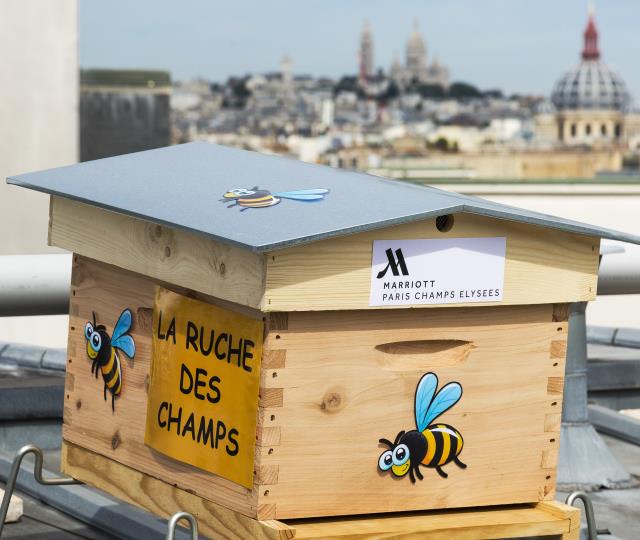 Une ruche sur les toits de Paris.