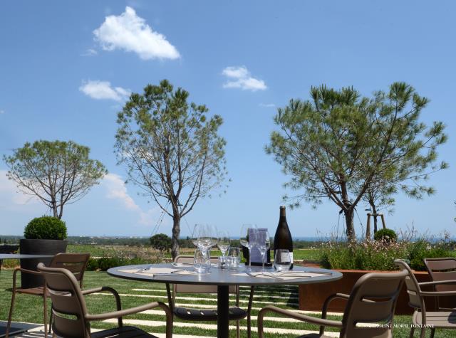 Une terrasse avec vue sur les vignes