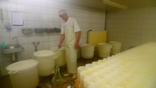 Aprs 5 semaines de travail, les 1 000 litres de lait cru obtenus donneront naissance  450 fromages mouls  la louche.