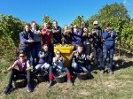 Vendanges alsaciennes pour les apprentis sommeliers nordistes