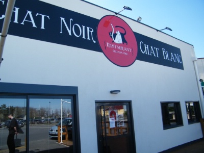 Chat Noir Chat Blanc Après Nice Première Franchise Près